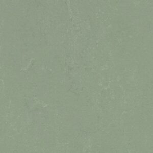 forbo-3750-pine forest