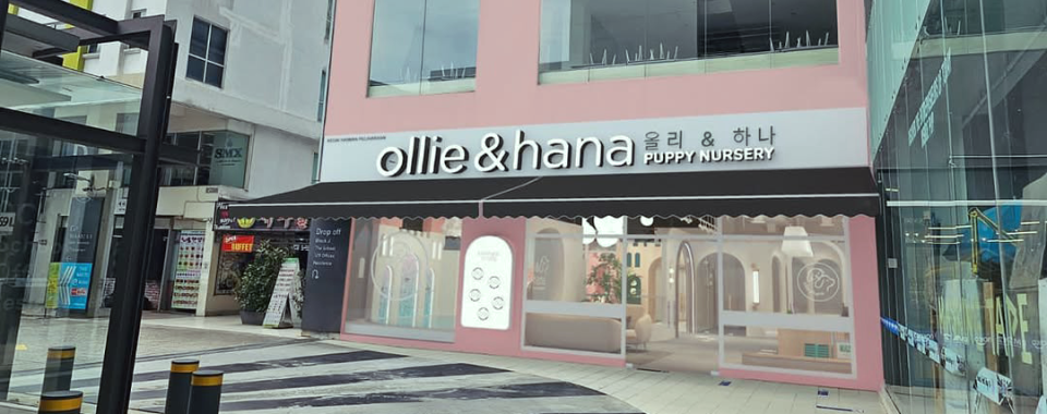 ollie-and-hana-shop