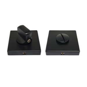PT02S -Matt black